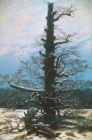 Caspar David Friedrich The Oak Tree in the Snow Norge oil painting art